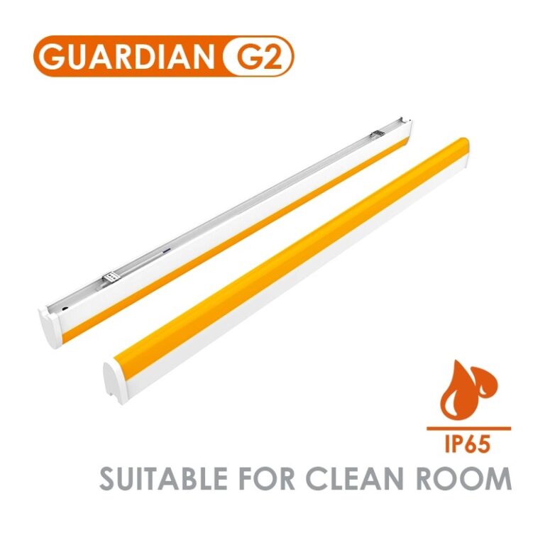 G2 黄