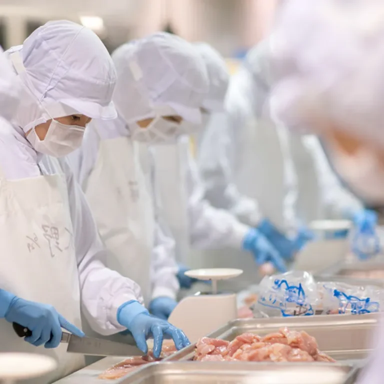 Food Processing Washdown