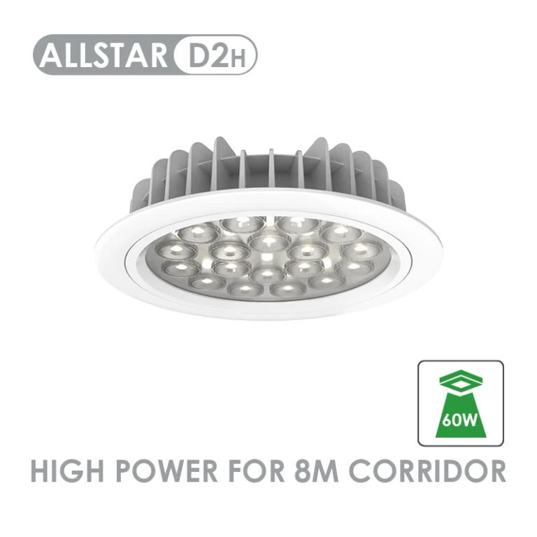 D2 01-1