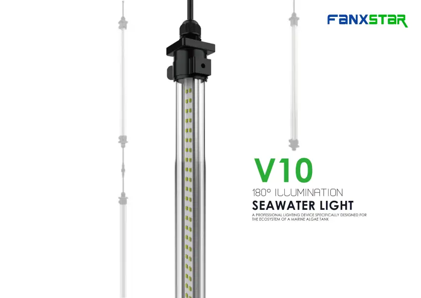 Unique Features of Seawater Light Tube V10