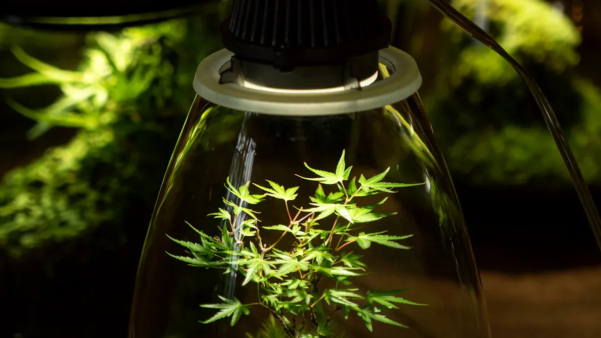 How LED Lights Support Algae Growth