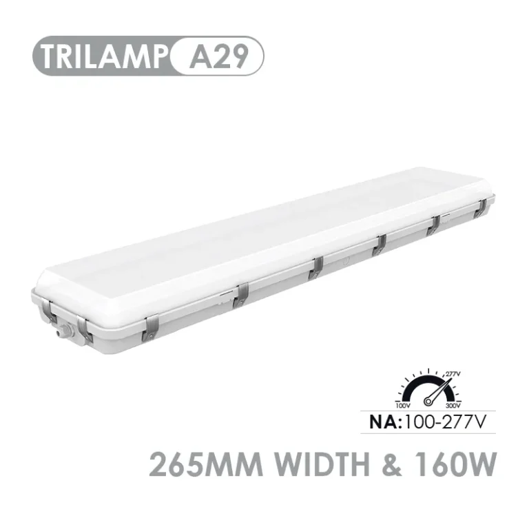 A29_WEBP