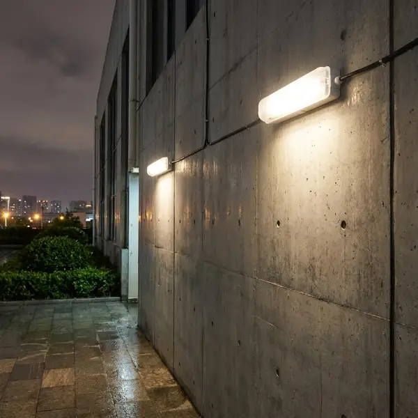 Outdoor Paths